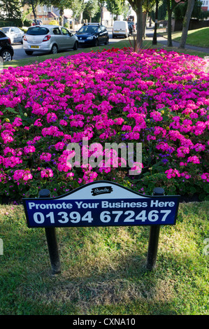 Une enseigne publicitaire sur les parterres de fleurs à Bromley, dans le sud de Londres. Banque D'Images