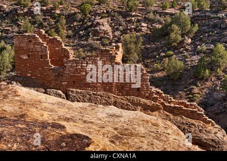 Maison forteresse ruine à Hovenweep National Monument, du Plateau du Colorado, Utah, USA Banque D'Images