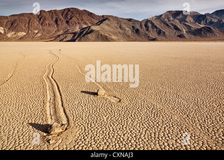 Déménagement rocks à l'Hippodrome dry lake, désert Mojave dans Death Valley National Park, California, USA Banque D'Images
