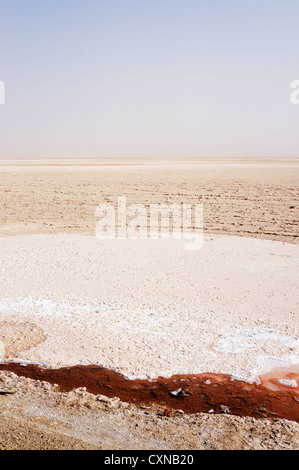 L'eau rouge dans le lac salé de Chott el-Jerid en Tunisie Banque D'Images