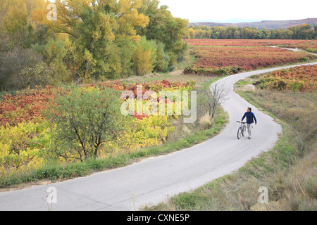 Couleurs d'automne, le vélo dans la région viticole de Rioja, Espagne, Europe, Banque D'Images