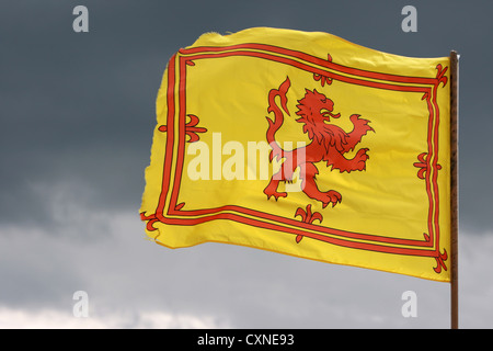 Drapeau Ecosse lion rampant Banque D'Images