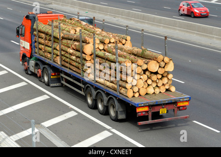 Vue latérale et arrière du camion hgv avec remorque à plateau articulé, longueur de coupe des grumes de tronc d'arbre sur l'autoroute britannique Banque D'Images