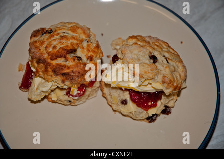 Scones, confiture faite maison, fraîchement cuisinés, de crème caillée, de fruits sur une plaque Banque D'Images