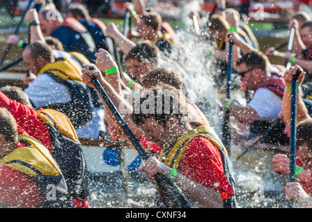 Un début à l'une des finales de l'édition 2012 de la course de bateau dragon chinois sur la rivière Ouse à York, au Royaume-Uni. Banque D'Images