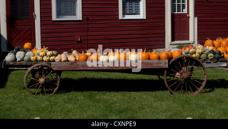 Les agriculteurs wagon chargé avec des citrouilles, courges et de squash pour la vente. Banque D'Images