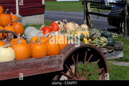 Les agriculteurs wagon chargé avec des citrouilles, courges et de squash pour la vente. Banque D'Images