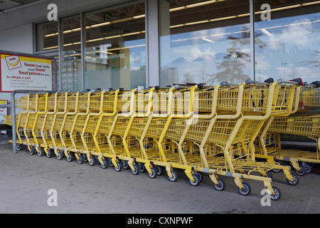 Chariots de magasinage, à l'extérieur No Frills supermarché, épicerie Banque D'Images