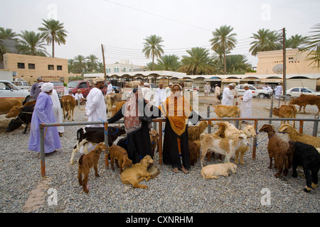 Les foules au souk de bétail à Nizwa, Oman Banque D'Images