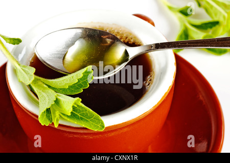 Le Stevia rebaudiana extrait fluide de support à base de sucre avec zéro calorie Banque D'Images