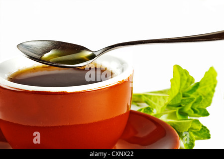 Le Stevia rebaudiana extrait fluide de support à base de sucre avec zéro calorie Banque D'Images