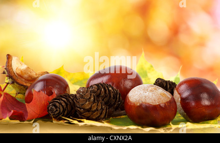 Motif de feuilles d'automne, des châtaignes et des pommes de pin avec bokeh Banque D'Images