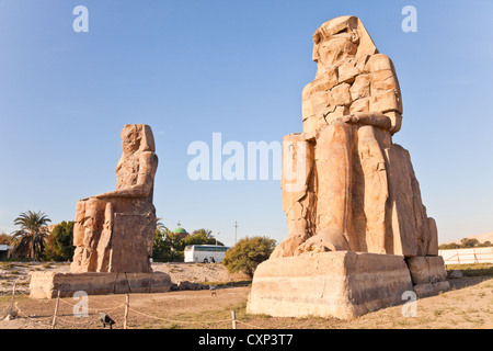 colosses memnon Banque D'Images