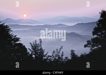 Amérique du Nord, Etats-Unis, New York. Smoky Mountain National Park au lever de Foothills Parkway avec 'Smoky' illustrant le brouillard. Banque D'Images