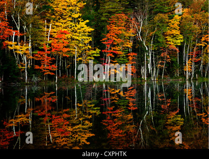 Partie supérieure de la péninsule nord du Michigan. La couleur de l'automne de pointe et des réflexions sur le lac Conseil dans la forêt nationale d'Hiawatha Banque D'Images