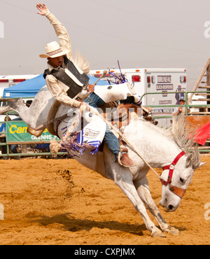 Saddle Bronc riding Cowboy Rodeo au cours de l'événement, Bruneau, California, USA Banque D'Images