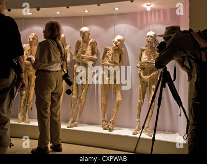 Guanajuato's Museo de las Momias avec corps momifiés dans vitrines Banque D'Images