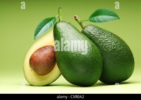 L'avocat isolé sur un fond vert. Banque D'Images