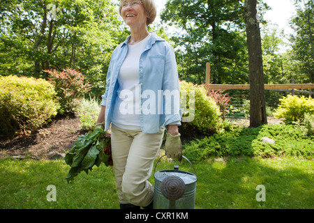 Femme avec arrosoir et betteraves dans jardin Banque D'Images