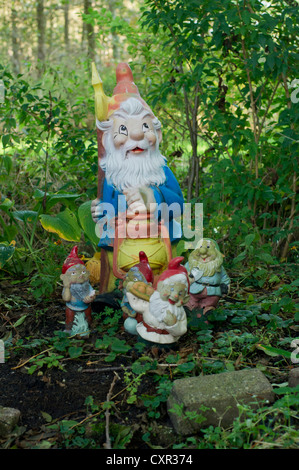 Les nains de jardin dans une forêt comme jardin Banque D'Images