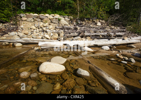 Les vestiges d'anciennes barrage en bois le long de la branche est de la rivière Pemigewasset dans Lincoln, New Hampshire, USA Banque D'Images