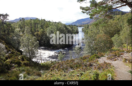 Pont sur la rivière rivière Affric Glen Affric Highlands écossais Highland Scotland UK Banque D'Images