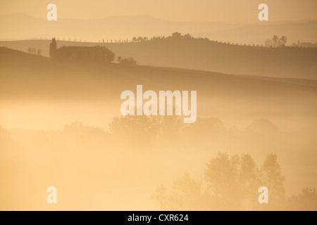 Lever du soleil réchauffe la lumière des vallées brumeuses de Pienza dans le Val d'Orcia Région de Toscane, Italie Banque D'Images