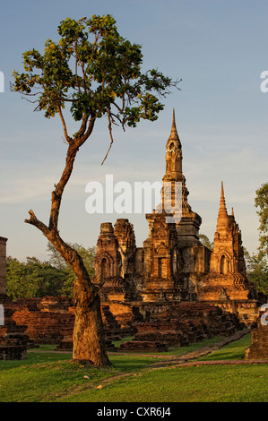 Wat Mahathat, Parc historique de Sukhothaï, Sukhothai, Thaïlande, Asie Banque D'Images