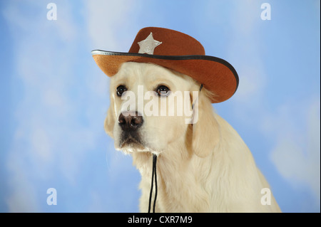 Golden Retriever portant un chapeau de cowboy Banque D'Images