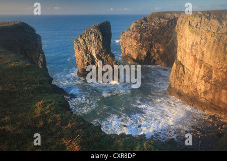 Les piles d'Elegug à l'aube d'un matin d'hiver le long de la côte du Pembrokeshire au Pays de Galles Banque D'Images