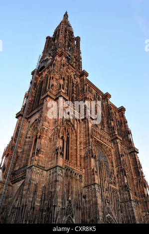 Vue de la façade nord-ouest, la cathédrale de Strasbourg, la cathédrale de Notre Dame de Strasbourg, Strasbourg, département du Bas-Rhin Banque D'Images