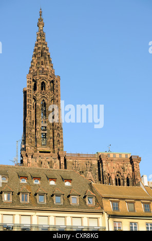 La tour Nord, côté sud, la cathédrale de Strasbourg, la cathédrale de Notre Dame de Strasbourg, Strasbourg, Bas-Rhin, Alsace Banque D'Images