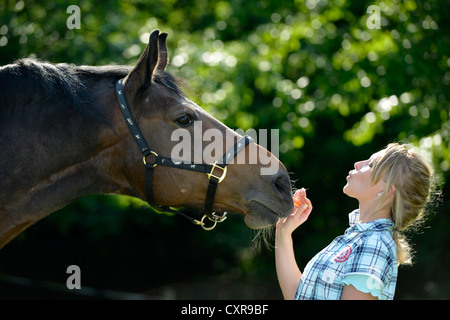 Jeune femme et cheval, Gingen, Bade-Wurtemberg, Allemagne, Europe Banque D'Images