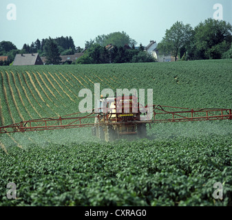 Le tracteur et le pulvérisateur traîné pommes pulvérisation juste avant les lignes fermer Banque D'Images