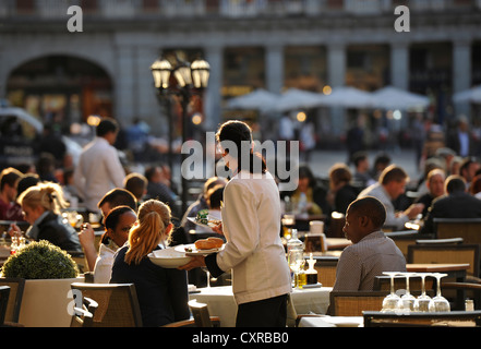 Restaurants dans la lumière du soir, la Plaza Mayor, Madrid, Espagne, Europe, PublicGround Banque D'Images