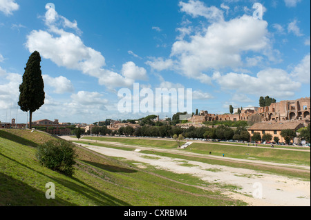 Vue sur la zone de Circus Maximus non construites sur la colline du Palatin, Circo Massimo, Palatino, l'ancienne Rome, Rome, Latium, Italie Banque D'Images