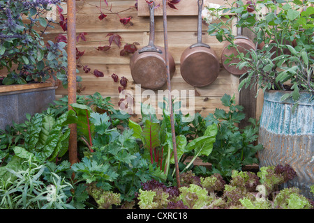 Un petit espace jardin potager de cuisine biologique avec culture de salade de laitue et blettes - sauge - herbes de persil à la frontière été Angleterre GB UK Banque D'Images