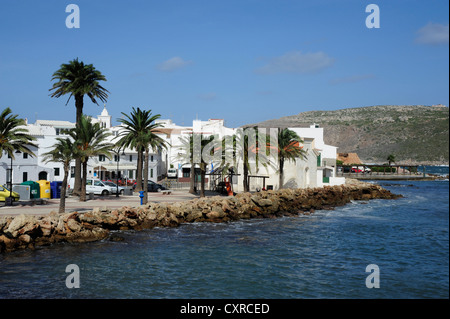 Maisons Blanches et des palmiers dans la baie de Fornells, Badia, Fornells, Minorque , Iles Baléares, Mer Méditerranée, Espagne Banque D'Images