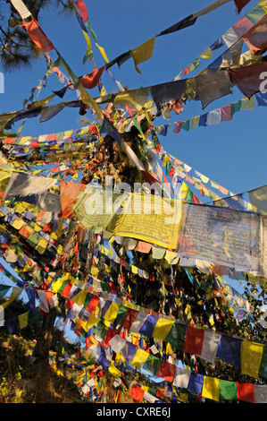 Les drapeaux de prières sur Namobuddha Temple, Vallée de Katmandou, UNESCO World Heritage Site, Népal, Asie Banque D'Images