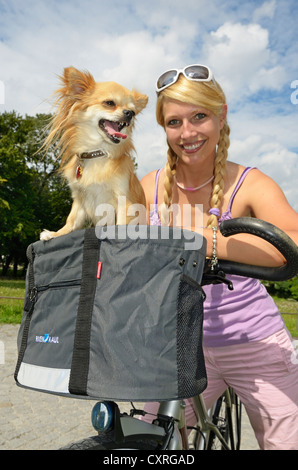 Femme avec un chien chihuahua dans le panier de son vélo Banque D'Images