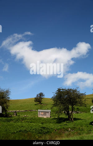 Vue verticale de cabane en bois ou une remise sur le terrain avec le ciel bleu et nuages Banque D'Images