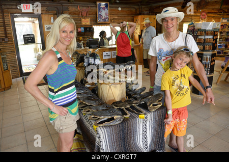 Les alligators américains ou Alligator mississippiensis) gators (en vente comme souvenirs, Billie Swamp Critter Show, Big Cypress Banque D'Images