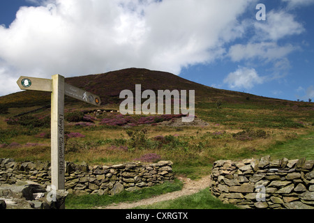 Voir de panneau montrant chemin devant Moel Arthur, Clwydian Hills Banque D'Images