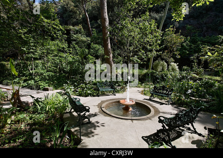 La Mortella, jardins méditerranéens de Sir William Walton, Forio, l'île de Ischia, dans le golfe de Naples, Campanie, Italie du Sud, Italie Banque D'Images