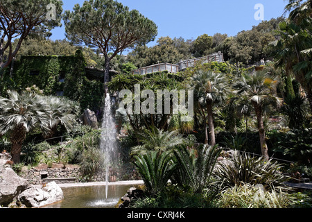 La Mortella, jardins méditerranéens de Sir William Walton, Forio, l'île de Ischia, dans le golfe de Naples, Campanie, Italie du Sud, Italie Banque D'Images