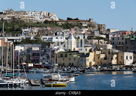 Port avec une vue de Terra Murata, Porto di Marina Grande, l'île de Procida, Golfe de Naples, Campanie, Italie du Sud, Italie Banque D'Images