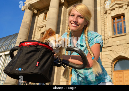 Femme avec un chihuahua dans son panier de vélo Banque D'Images