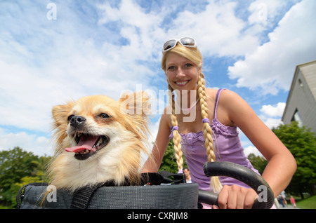 Femme avec un chihuahua dans un panier d'une bicyclette Banque D'Images