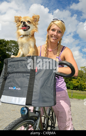 Femme avec un chihuahua dans un panier de vélo Banque D'Images