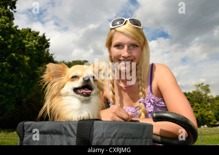 Femme avec un chihuahua dans un panier de vélo Banque D'Images